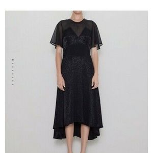 ZARA LEOPARD MIDI DRESS